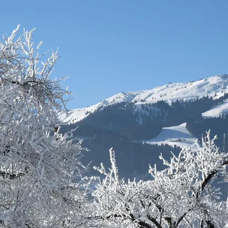 Gratlspitz By Interhome *